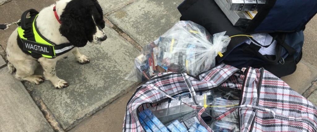 Sniffer dog will illegal tobacco in bags